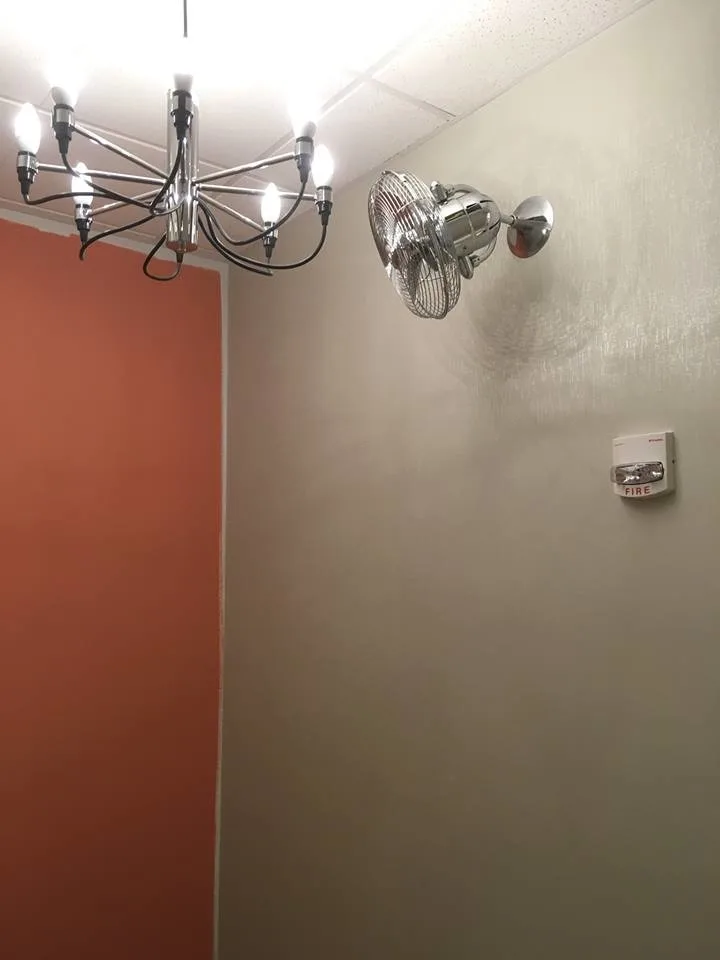 bkny Painting Wallcoverings by Bkny Painting - Photo 6
