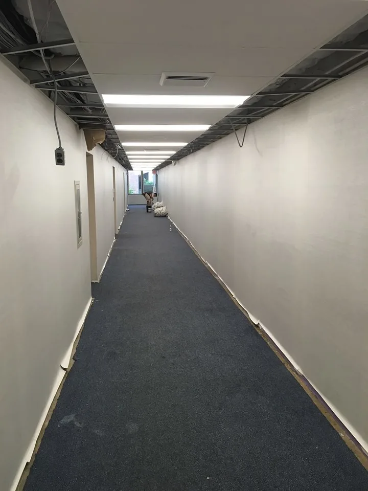 bkny Painting Wallcoverings by Bkny Painting - Photo 23