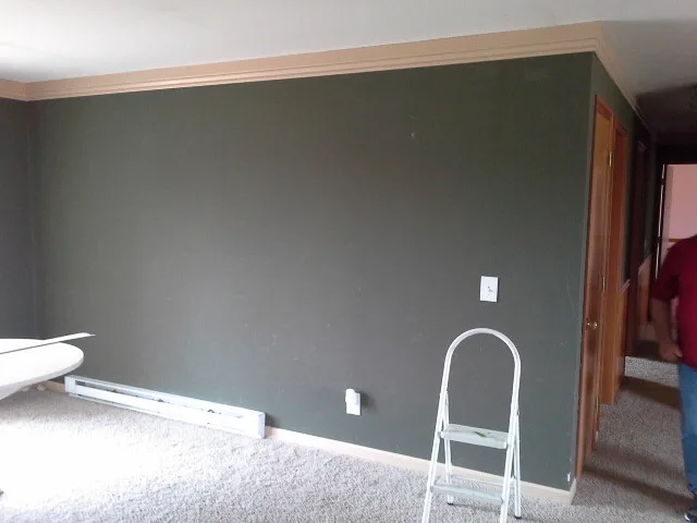 Wallpaper Takeoff and Major Color Transformation by Fresh Coat Mansfield - Photo 5
