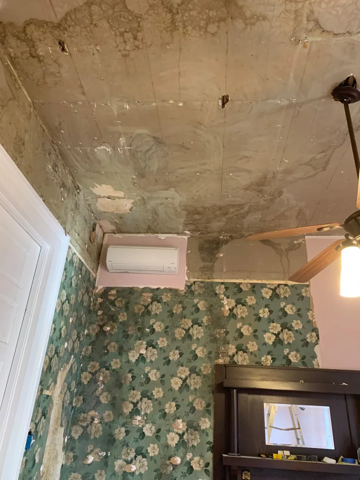 Wallpaper Stripping and Ceiling Restoration by Aimee Struble - Photo 12