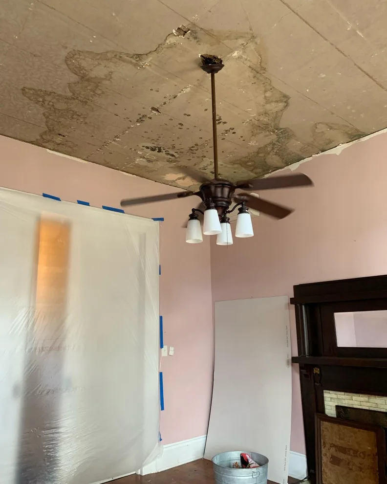 Wallpaper Stripping and Ceiling Restoration by Aimee Struble - Photo 5