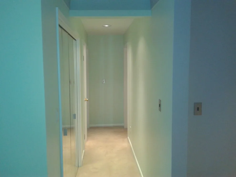 Wallcovering Extraction by Color In Motion Painting - Photo 5