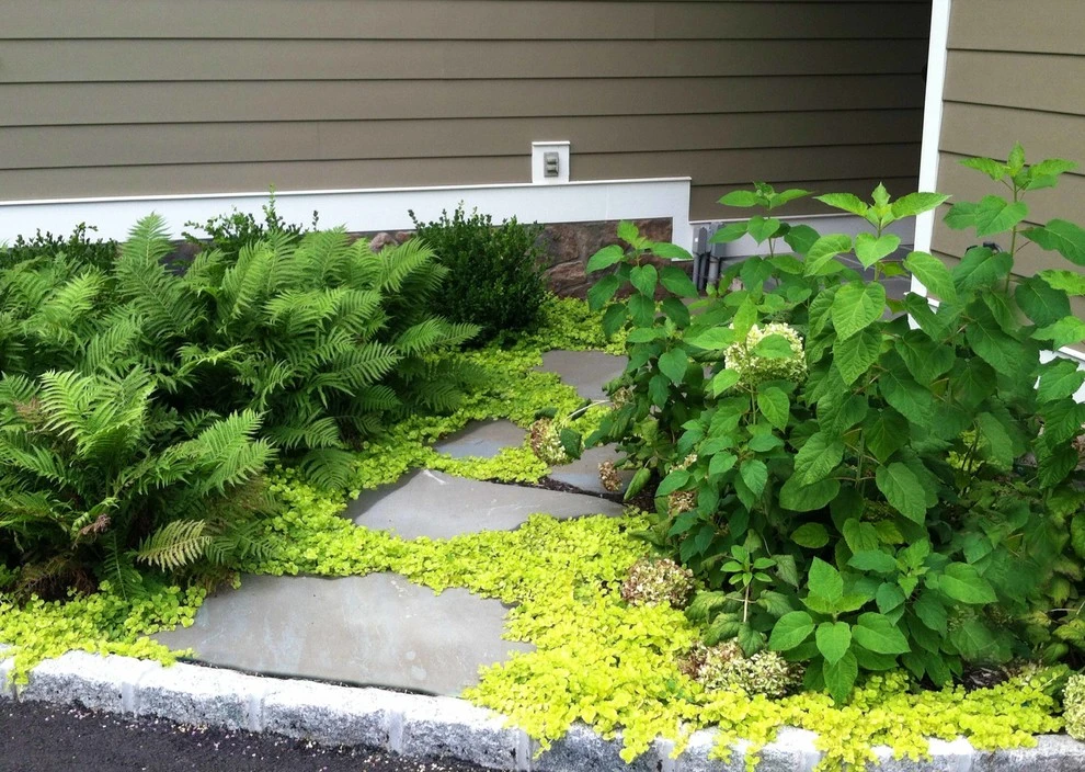 Walkways by Harmony Design Group - Photo 11