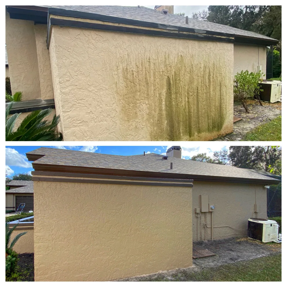 Winter Springs Outdoor Painting by A+ Painting - Photo 19