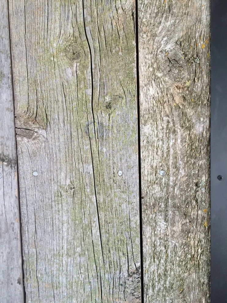 Timber Texture by The Finishing Touch Faux Painting - Photo 13