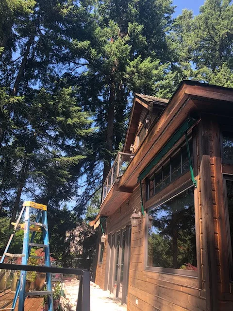 Woodinville Project by JC Painting Pro LLC - Photo 10