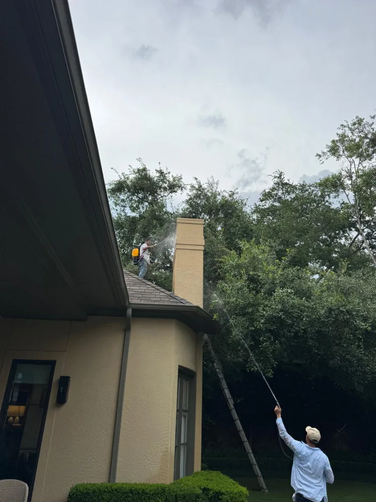 Delgado's Painting LLC - Photo 10