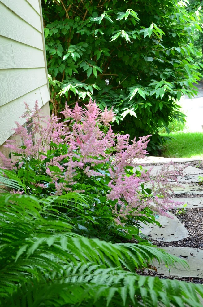 Secret Garden by Harmony Design Group - Photo 4