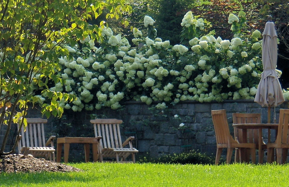 Classic Design by Harmony Design Group - Photo 5