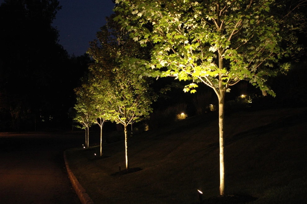 Night Lighting by Harmony Design Group - Photo 3