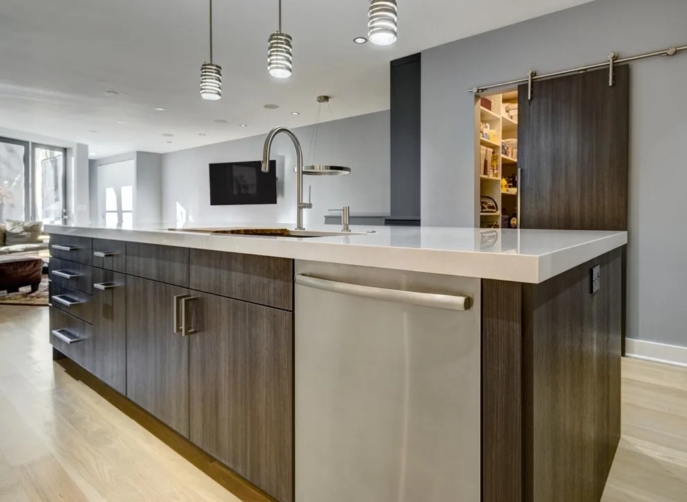 Current Trends in Kitchen and Bathroom Renovations by Karin Ross Designs - Photo 13