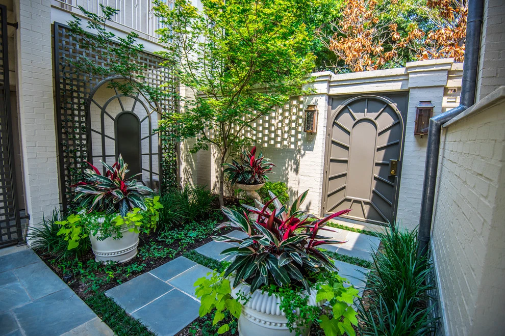 Highland Park Pool Garden by Harold Leidner Landscape Architects - Photo 15