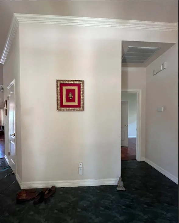 Complete Home Renovation in Austin by TRS Build - Photo 19