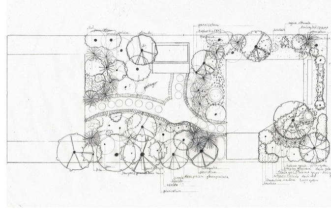 Hand Drawings by Jennifer Bromme Landscape Design - Photo 2