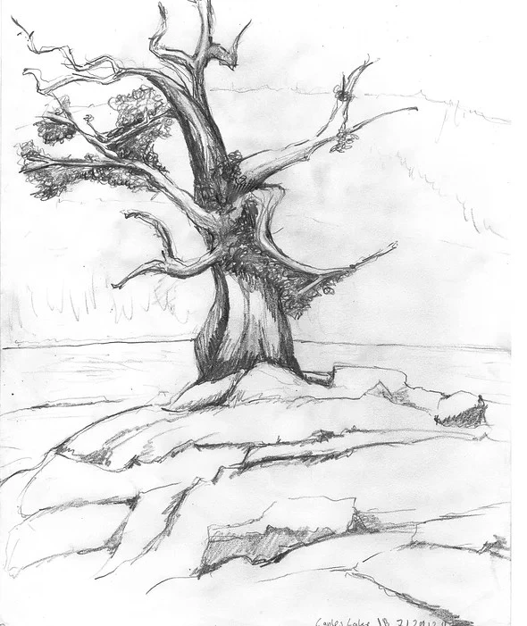 Hand Drawings by Jennifer Bromme Landscape Design - Photo 6