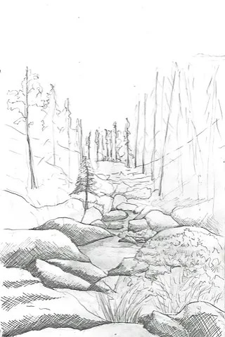 Hand Drawings by Jennifer Bromme Landscape Design - Photo 5