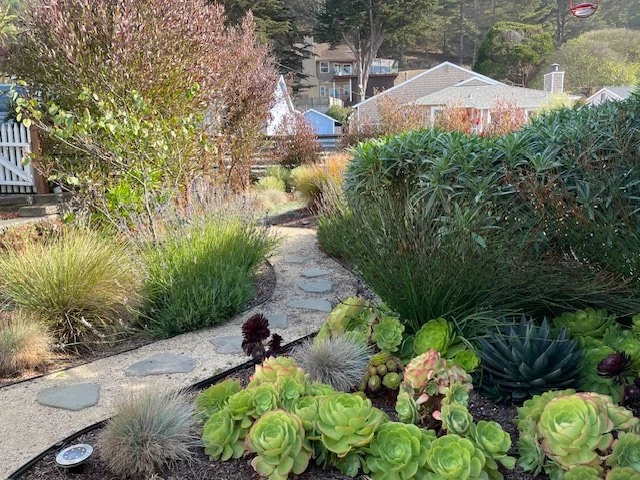 Front Yard Low Water Landscape by Jennifer Bromme Landscape Design - Photo 5