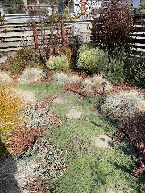 Front Yard Low Water Landscape by Jennifer Bromme Landscape Design - Photo 8