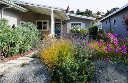 Front Yard Low Water Landscape by Jennifer Bromme Landscape Design - Photo 7