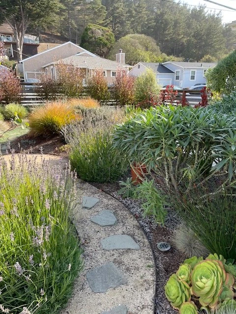 Jennifer Bromme Landscape Design - Photo 12
