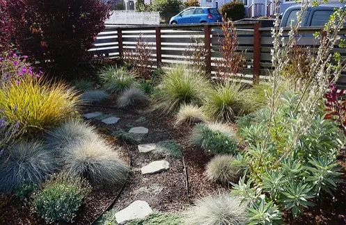 Front Yard Low Water Landscape by Jennifer Bromme Landscape Design - Photo 3