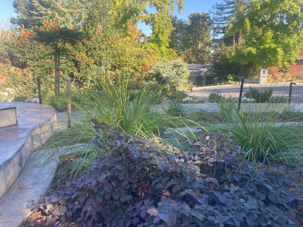 Jennifer Bromme Landscape Design - Photo 14