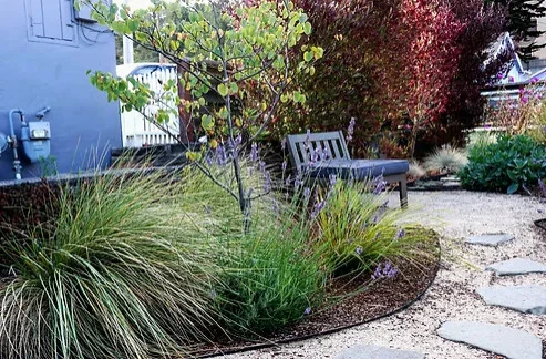 Front Yard Low Water Landscape by Jennifer Bromme Landscape Design - Photo 6