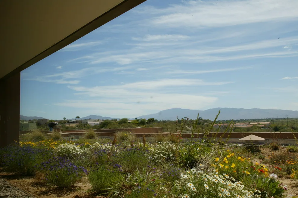 Garden Roof Residence by Taylordesign + BUILD - Photo 10