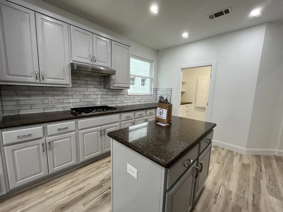 Austin Complete Home Renovation and Expansion by TRS Build - Photo 4