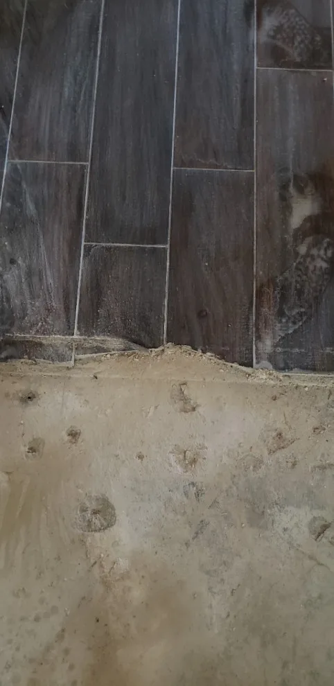 Floor Covering by Built Dfw - Photo 13