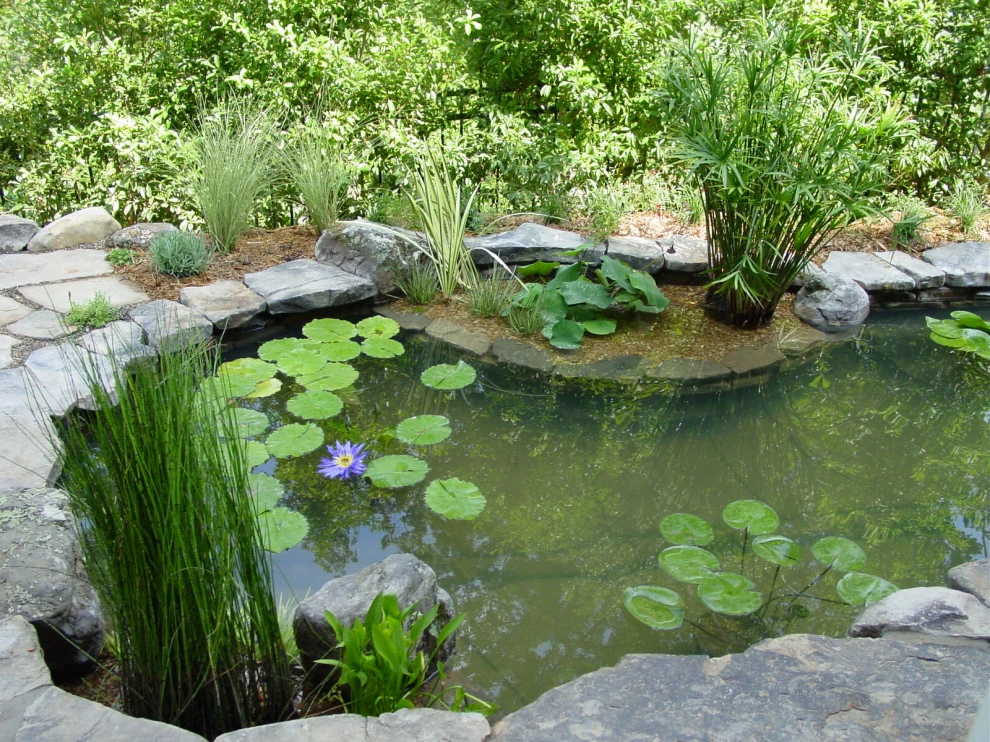 Water Features by Landscape Concepts Of Fairfax, Inc. - Photo 6