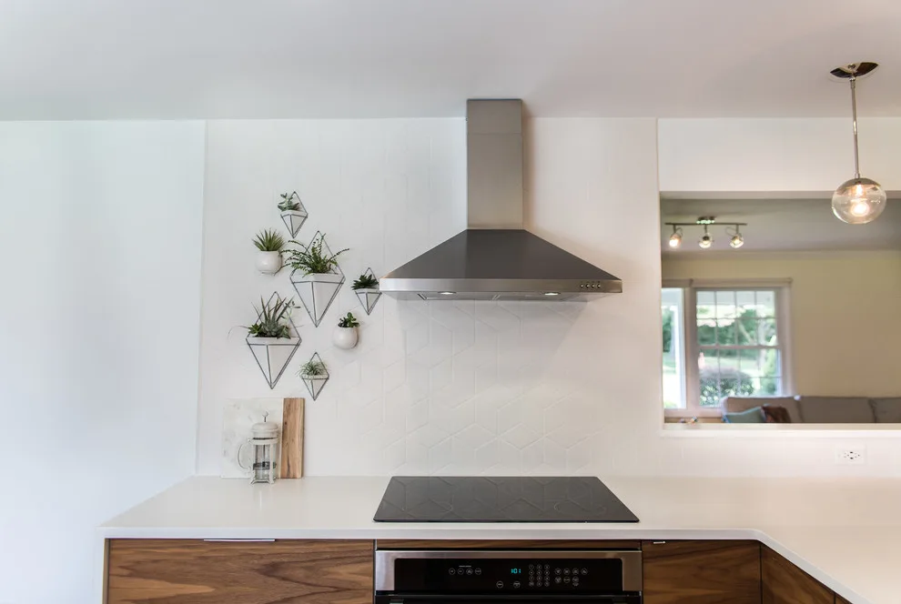 Glen Mills, PA Mid Century Modern Kitchen by Cocoon - Photo 21