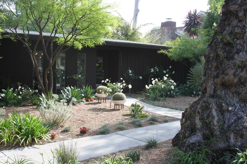 Park Estates - Mid-Century Modern by OCTOBER 5 Fine Home Builders - Photo 11