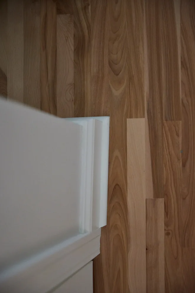 Minnetonka Expansion by Bluestem Remodeling - Photo 30