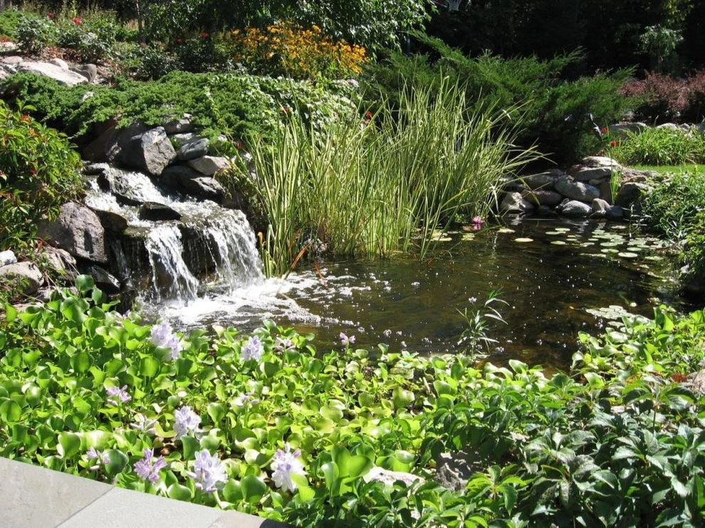 Traditional Landscape by Landscape Renovations, Inc. - Photo 2