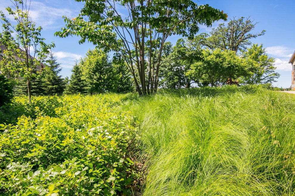 Gleason Lakefront Landscape by Landscape Renovations, Inc. - Photo 13
