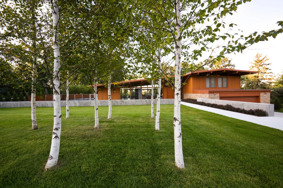 Modern Landscape by Landscape Renovations, Inc. - Photo 10