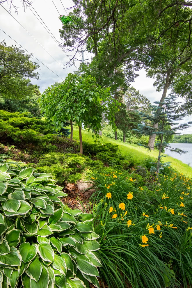 Sunfish Lake Landscaping by Landscape Renovations, Inc. - Photo 9