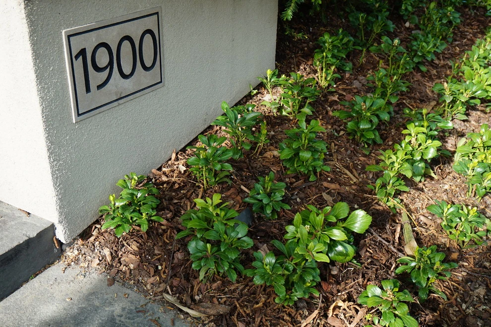 Minneapolis Streetscape by Landscape Renovations, Inc. - Photo 4