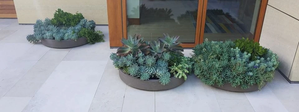 Calhoun Landscaping by Landscape Renovations, Inc. - Photo 2