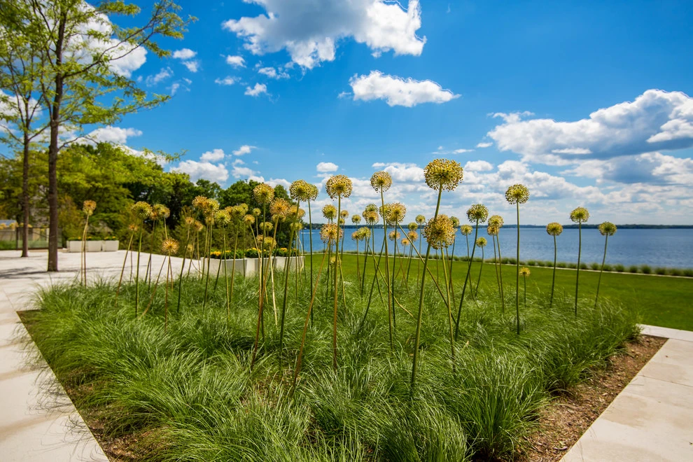 Harrington - Lake Minnetonka by Landscape Renovations, Inc. - Photo 6