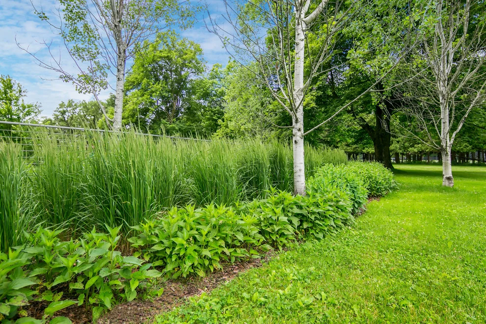 Estate Landscape by Landscape Renovations, Inc. - Photo 12