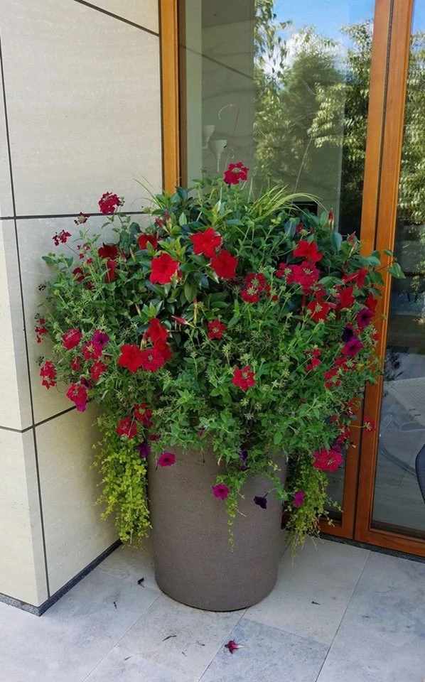 Calhoun Landscaping by Landscape Renovations, Inc. - Photo 15
