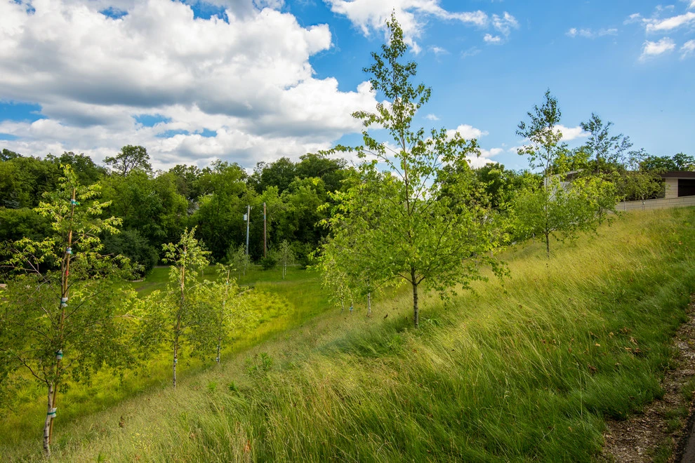 Harrington - Lake Minnetonka by Landscape Renovations, Inc. - Photo 14