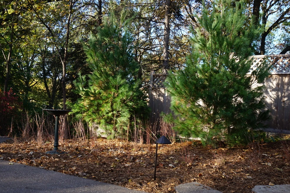 Rustic Landscape by Landscape Renovations, Inc. - Photo 9
