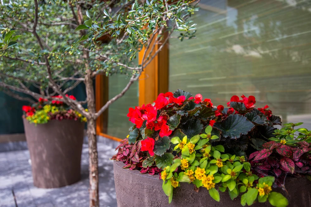 Landscape Renovations, Inc. - Photo 2