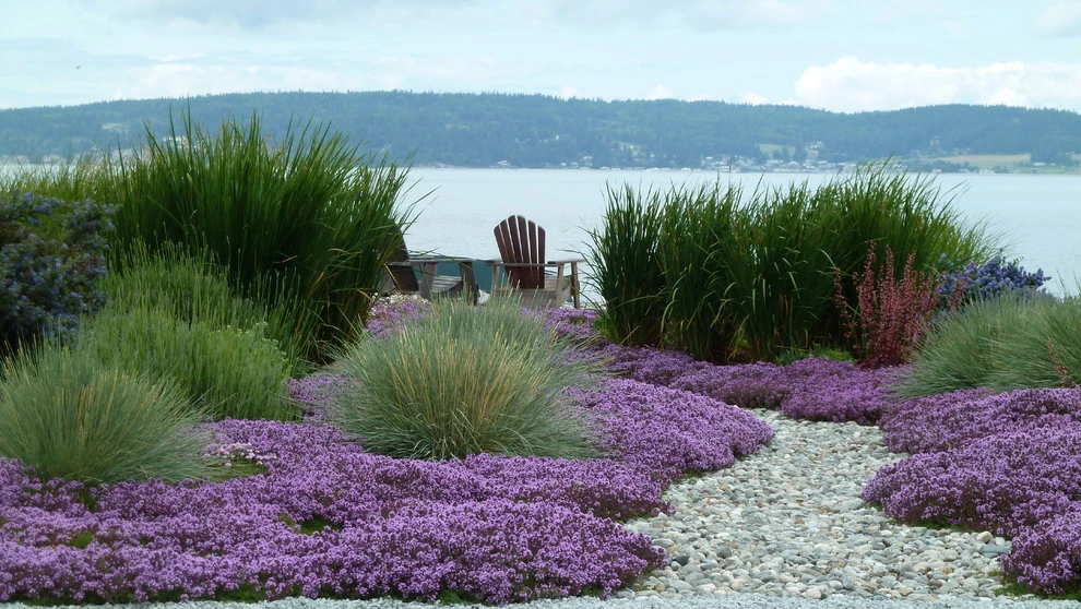 Coan Waterfront Landscape, Camano Island, WA by Lankford Associates Landscape Architects - Photo 2