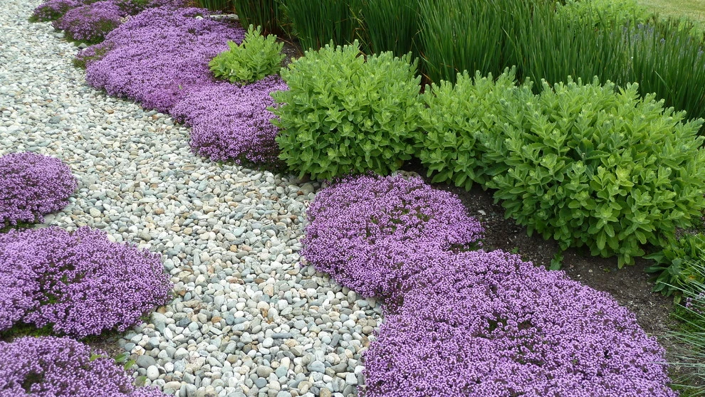 Lankford Associates Landscape Architects - Photo 12