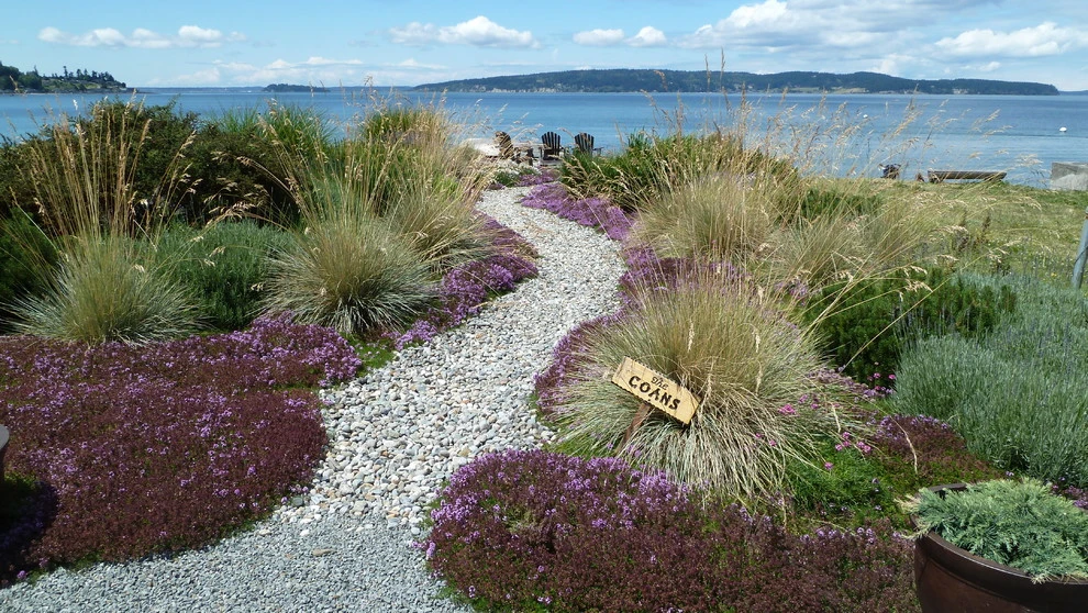 Coan Waterfront Landscape, Camano Island, WA by Lankford Associates Landscape Architects - Photo 4