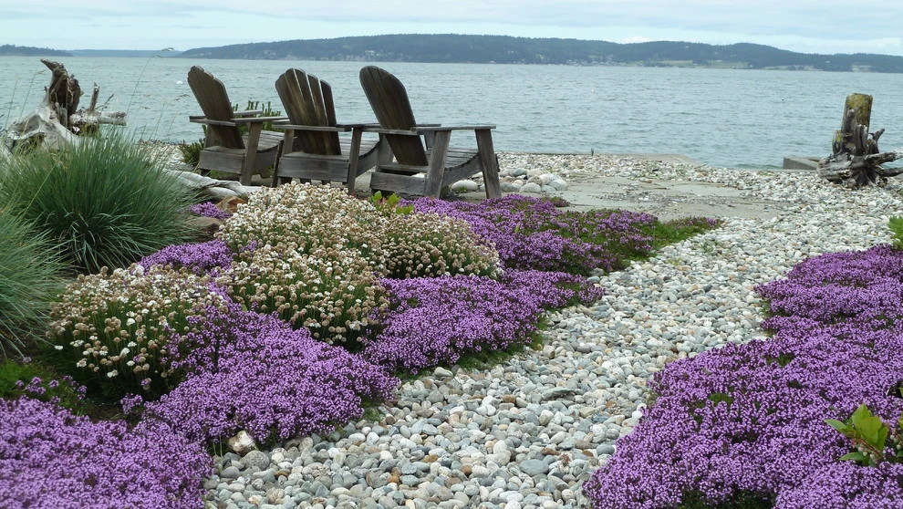 Lankford Associates Landscape Architects - Photo 2